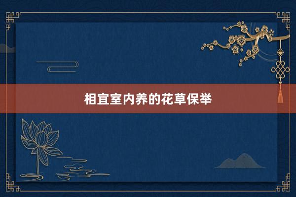 相宜室内养的花草保举