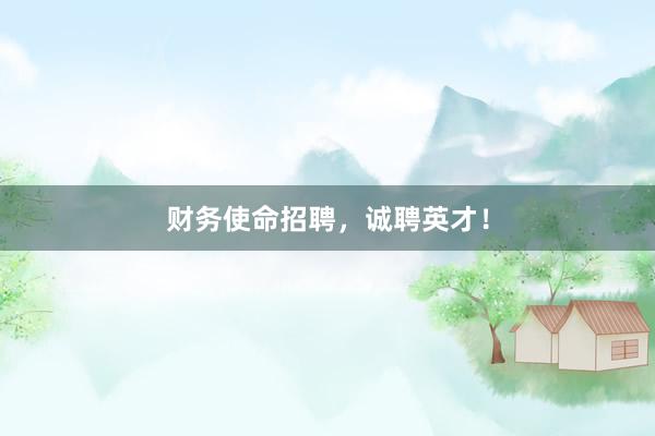 财务使命招聘，诚聘英才！